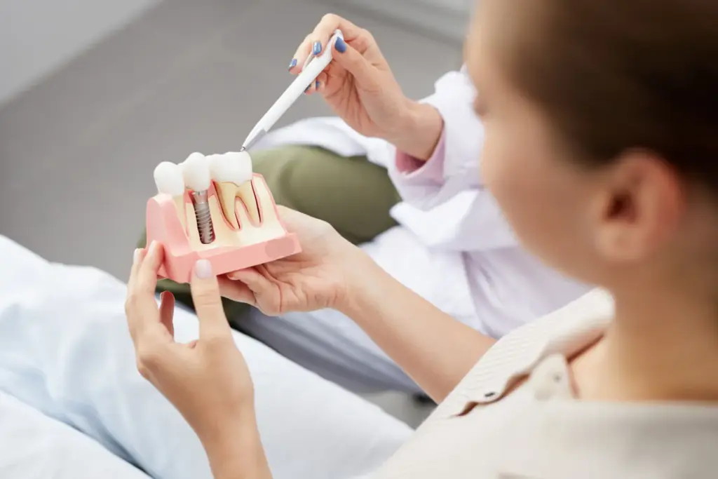 Dentist showing teeth model during consultation